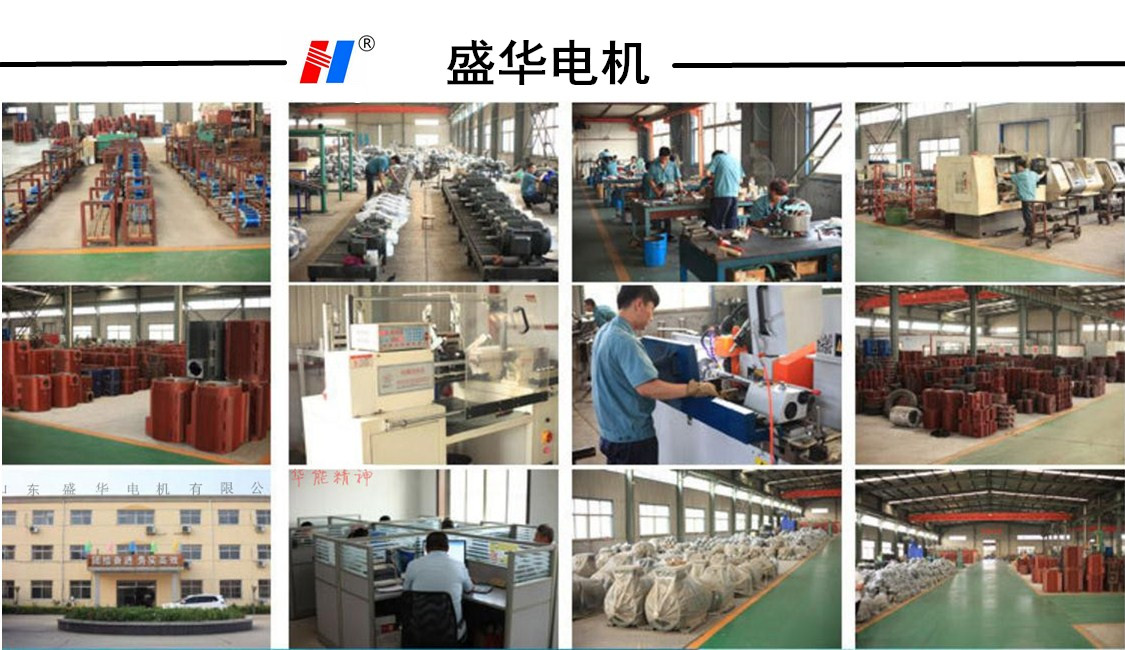 山東盛華糧食機械專用電機