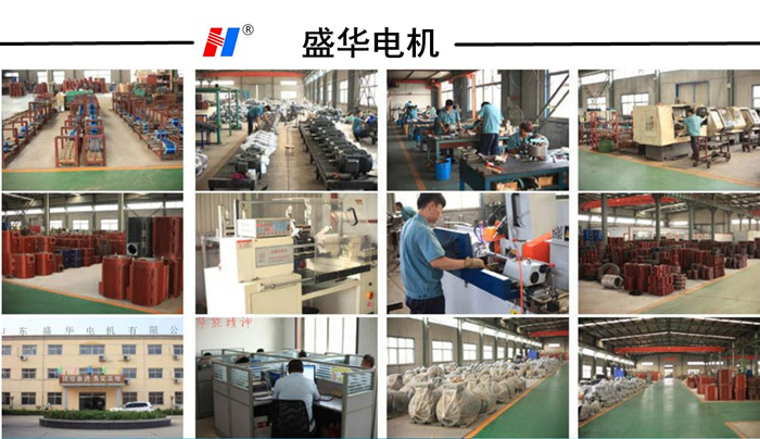 高效節(jié)能電機,電機生產(chǎn)廠家,山東電機廠,環(huán)保設(shè)備專用電機,盛華電機