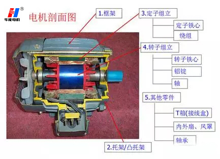 山東盛華電機(jī)生產(chǎn)廠家,電機(jī)保養(yǎng)