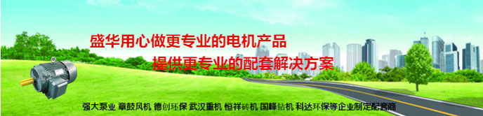 山東電機生產廠家,聊城電機廠,電機