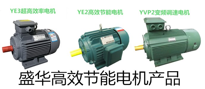 山東電機廠,高效節能電機,大功率電機,盛華電機
