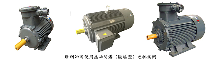 山東電機廠,電機生產(chǎn)廠家,三相異步電機