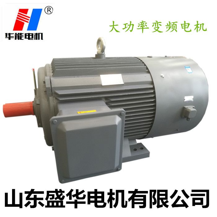 電機(jī)廠,山東電機(jī)廠,變頻調(diào)速電機(jī),變頻電機(jī)