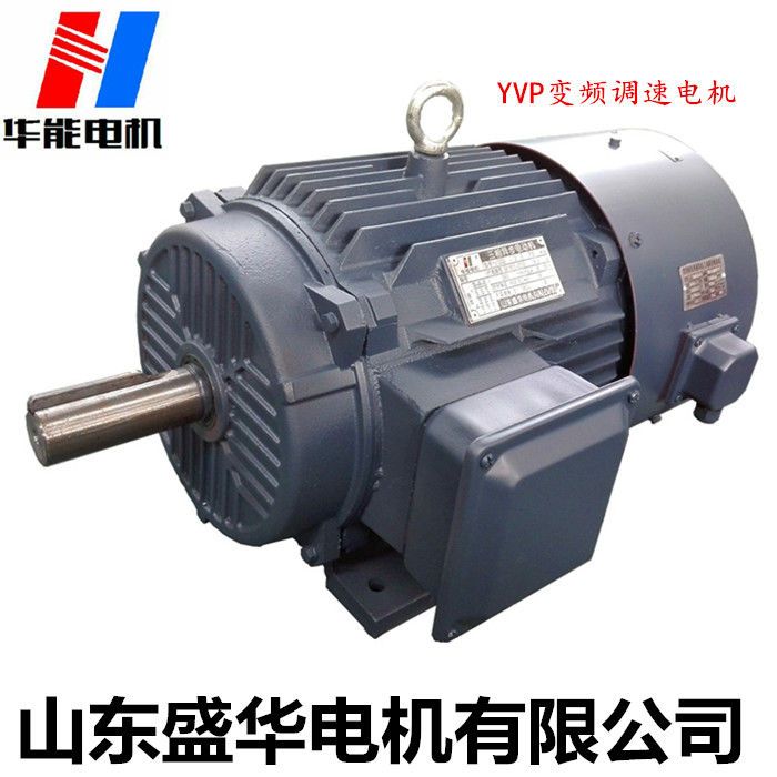 山東電機(jī),山東電機(jī)廠,變頻電機(jī),變頻調(diào)速電動(dòng)機(jī)