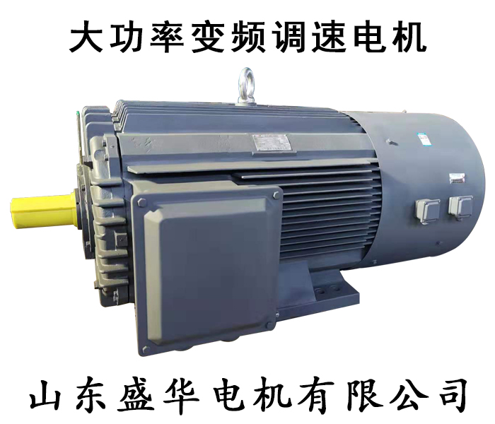 大功率高壓變頻電機(jī)